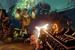 Borderlands 3 по сети