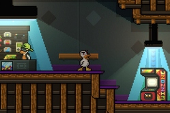 Duck Game по сети