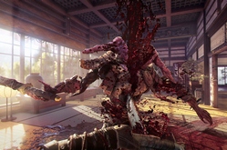 Shadow Warrior 2 по сети