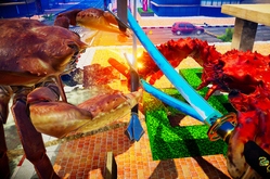 Fight Crab по сети