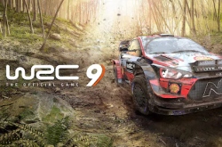 WRC 9 FIA World Rally Championship по сети