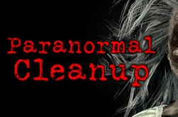 Paranormal Cleanup по сети