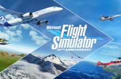 Microsoft Flight Simulator по сети