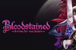 Bloodstained Ritual of the Night по сети