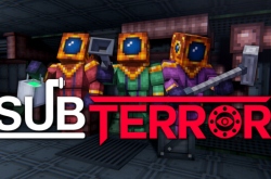 Subterror по сети